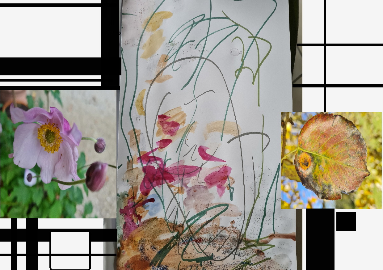 Collage HSP Original