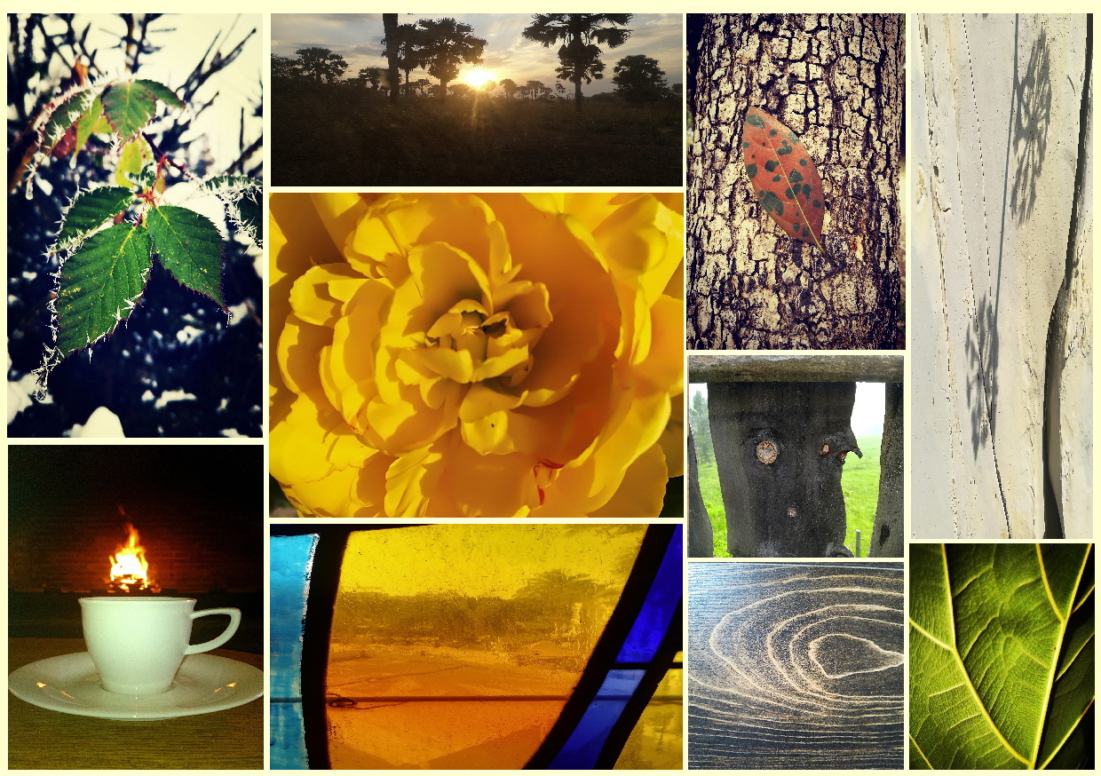 Collage für PP 1 Bild